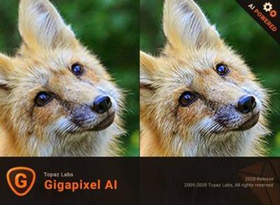 Topaz Gigapixel AI 5.0.3 (x64)