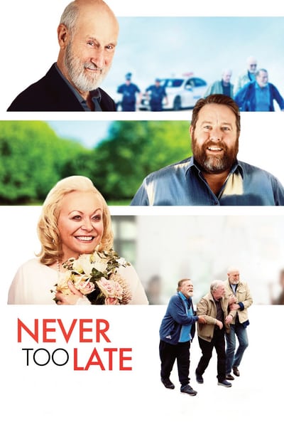 Never Too Late 2020 WEBRip XviD MP3-XVID