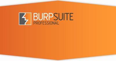 Burp Suite Professional 2020.7 Build 3287