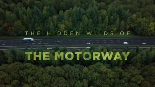BBC - The Hidden Wilds of the Motorway (2020)