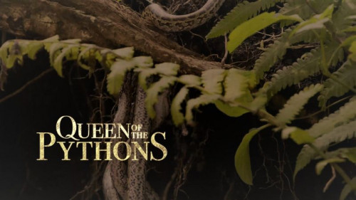 Smithsonian Ch. - Queen of the Pythons (2017)