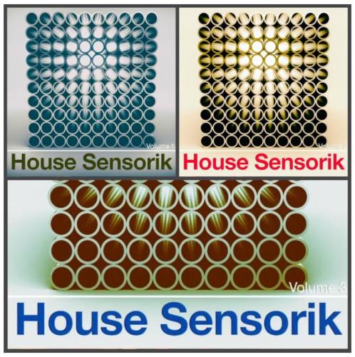 House Sensorik, Vol. 1-3 (2020) 