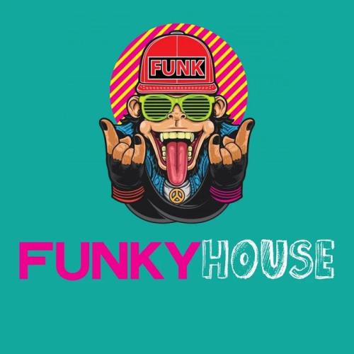 Funky House (The Hot Funky House Music Selection 2020) (2020)
