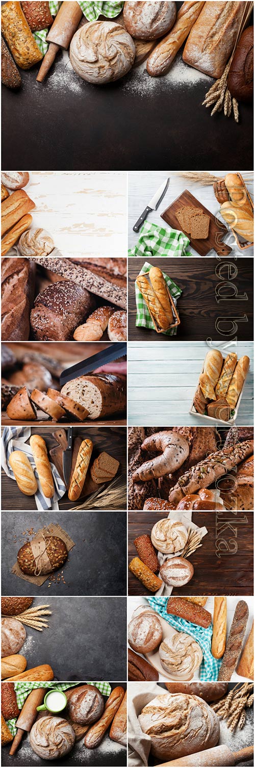 Bread and rolls, baked goods stock photo set
