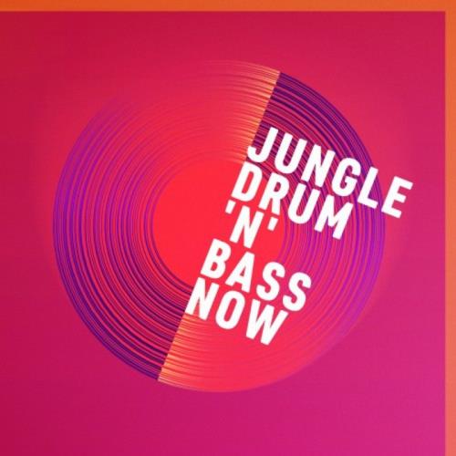 Jungle, Drum 'n' Bass Now (2020)