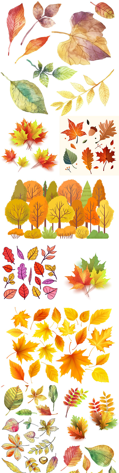 Autumn bright colorful different leaves illustration collection
