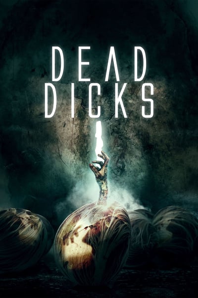 Dead Dicks 2020 720p WEBRip 800B x264-GalaxyRG