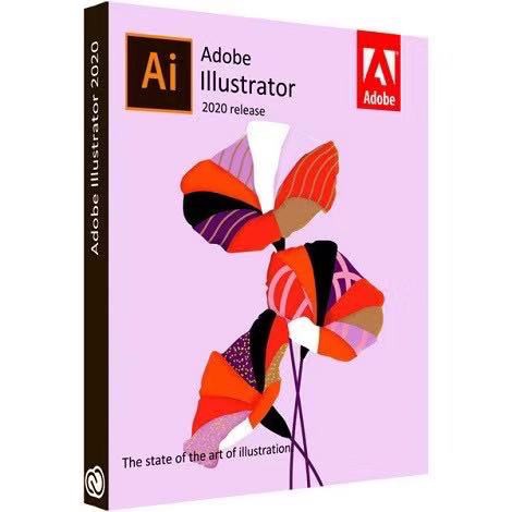 Adobe Illustrator 2020 version 24.2.2.518 (x64) Multilingual