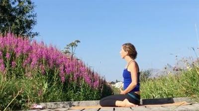 Beginner Yoga Elevating 30-Day Program