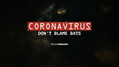 Curiosty TV - Breakthrough Coronavirus Don't Blame Bats (2020)