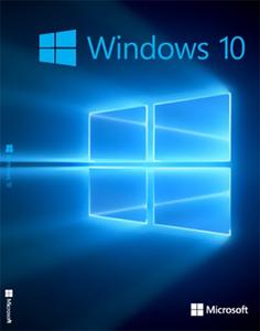 Windows 10 Pro 20H1 2004.19041.423 (x86x64) Multilanguage Preactivated