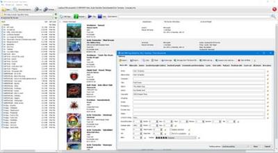 3delite MP4 Video and Audio Tag Editor 1.0.110.140 (x64)