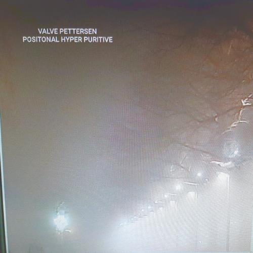 Valve Pettersen - Positonal Hyper Puritive (2020)