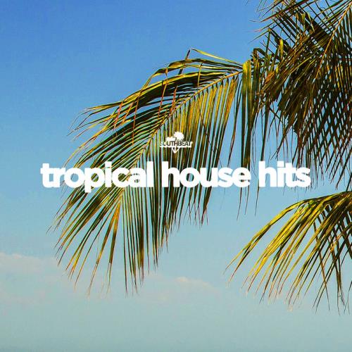 Southbeat Pres: Tropical House Hits (2020)