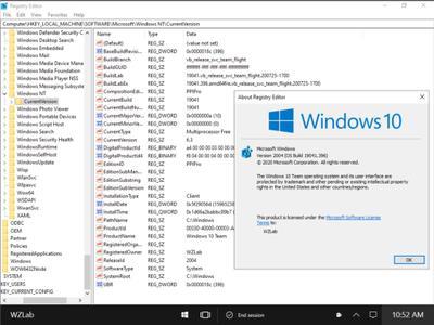 Windows 10 Team build 19041.396