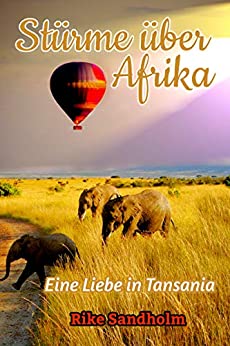 Cover: Sandholm, Rike - Stuerme ueber Afrika