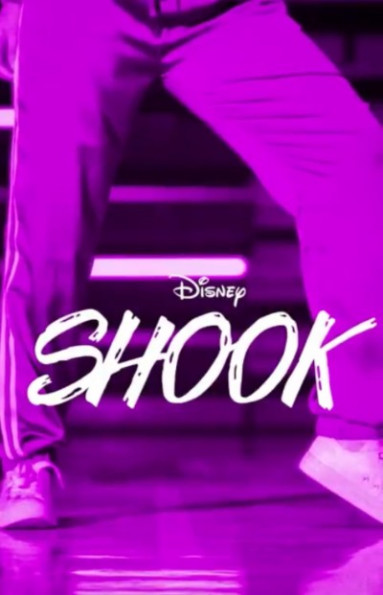Shook 2019 Disney 720P WEB-DL X264 Solar