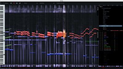 Hit'n'Mix RipX DeepAudio v5.2.6-V.R Dcae342f3d28be21b587f75bb0c87359
