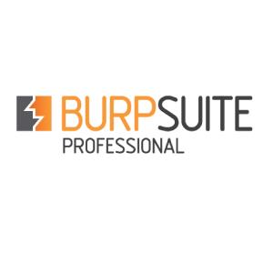 Burp Suite Professional v2020.8 Build 3537 + Loader