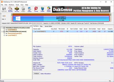 DiskGenius Professional 5.3.0.1066 + Portable
