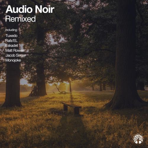 Audio Noir - Remixed (2020)