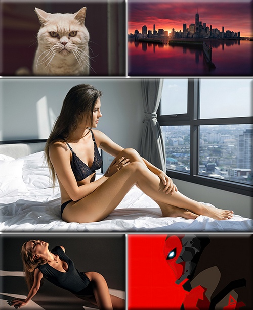 LIFEstyle News MiXture Images. Wallpapers Part (1698)