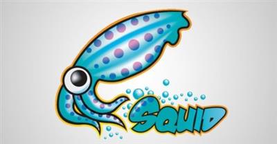 Squid Proxy Server On Linux: Anonymous browsing & filtering