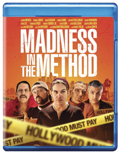 Madness In The Method 2019 DVDRip x264-RedBlade