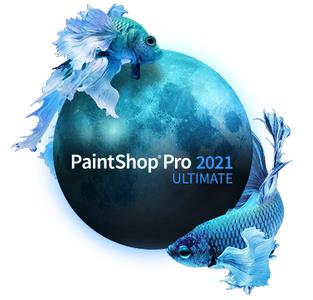 Corel PaintShop Pro 2021 Ultimate v23.0.0.143 (x64) Multilingual Portable
