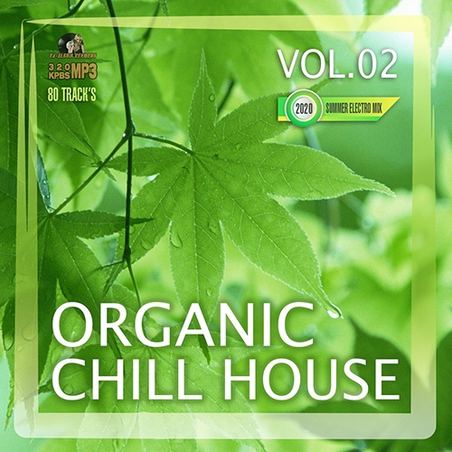 Organic Chill House Vol.02 (2020) Mp3