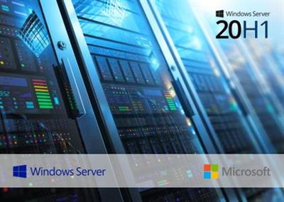 Windows Server, version 2004 build 19041.450