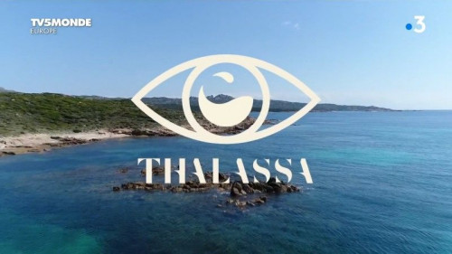 TV5Monde Thalassa - De Girolata à Bonifacio, les gardiens d'une nature sauvage (2020)