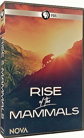PBS - NOVA Rise of the Mammals (2019)