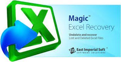 Magic Excel Recovery 2.8 RePack (& Portable) by ZVSRus [x86/x64/Eng/Rus/2020]