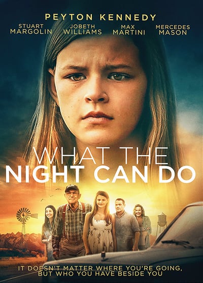 What the Night Can Do 2020 HDRip XViD AC3-EVO