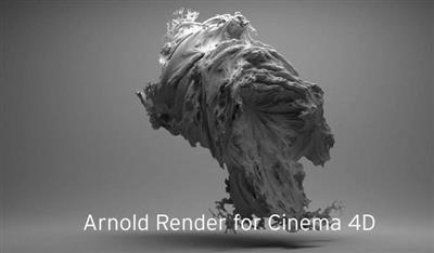 Solid Angle Cinema 4D To Arnold 3.1.0 for Cinema 4D R20 R22 Win