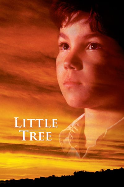 The Education of Little Tree 1997 WEBRip XviD MP3-XVID