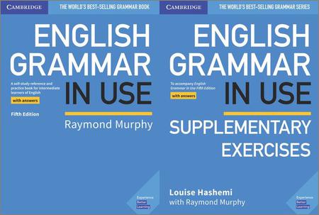 English Grammar in Use. 5 Edition