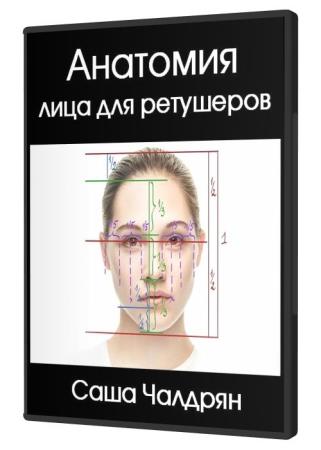 Анатомия лица для ретушеров (2018) HD