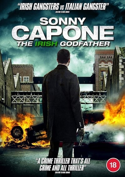 Sonny Capone 2020 1080p WEB-DL DD H 264-EVO