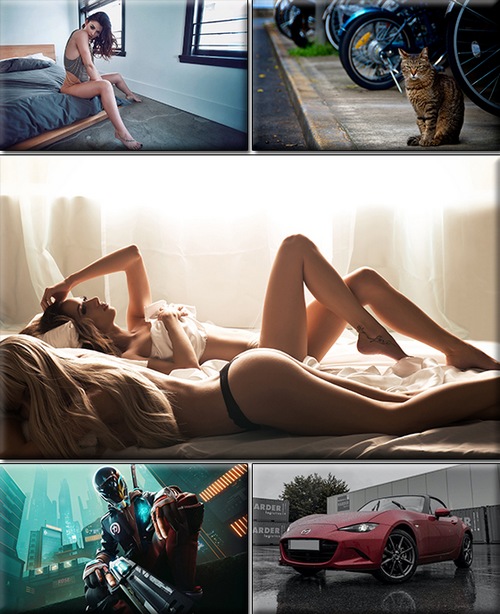 LIFEstyle News MiXture Images. Wallpapers Part (1705)