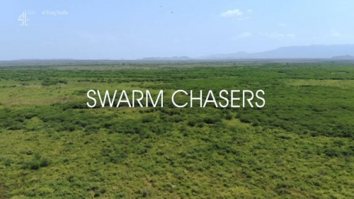CH4 Unreported World - Swarm Chasers (2020)