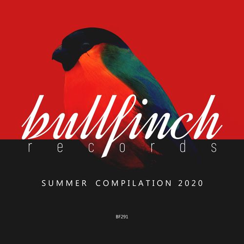 Bullfinch Summer: Compilation (2020) FLAC