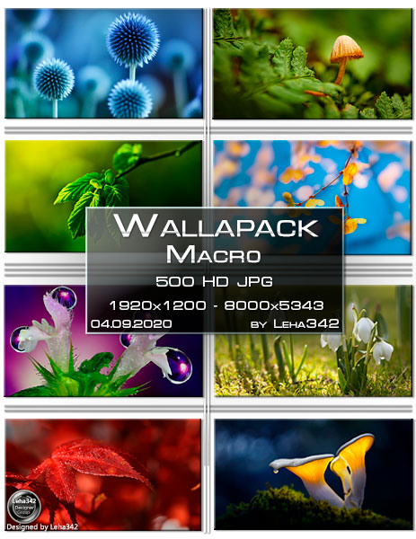 Wallapack Macro HD by Leha342 04.09.2020