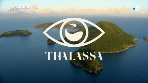 TV5Monde Thalassa - Guadeloupe et Martinique, les soeurs des Antilles (2020)