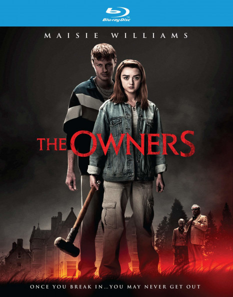 The Owners 2020 WEBRip XviD MP3-XVID