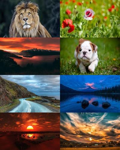 Wallpapers Mix №854