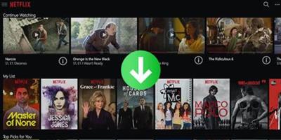 TunePat Netflix Video Downloader 1.2.4 Multilingual