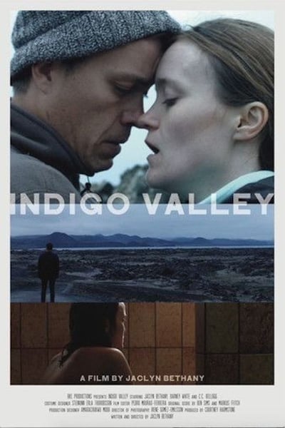 Indigo Valley 2020 720p WEBRip x264 AAC-YTS