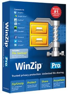 WinZip Pro v25.0 Build 14245 (x64) Portable